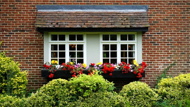 a white window with a flower box and trimmed hedge